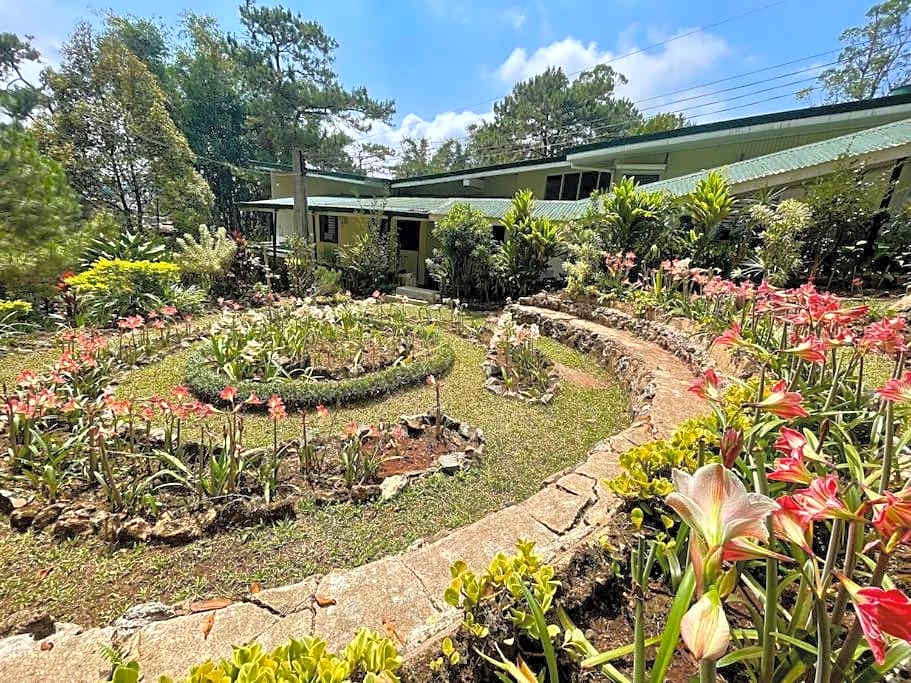 Mid-Century Modern Centrally Located Garden Oasis