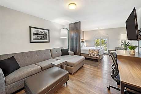 Executive King Suite with Sofa Bed - Non-Smoking