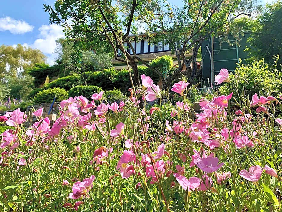 Bio Guesthouse Mani Sonnenlink