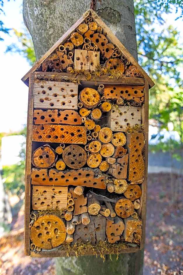 4 Évszak Hegyihotel