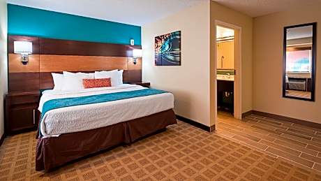 1 King Bed, Nonsmoking