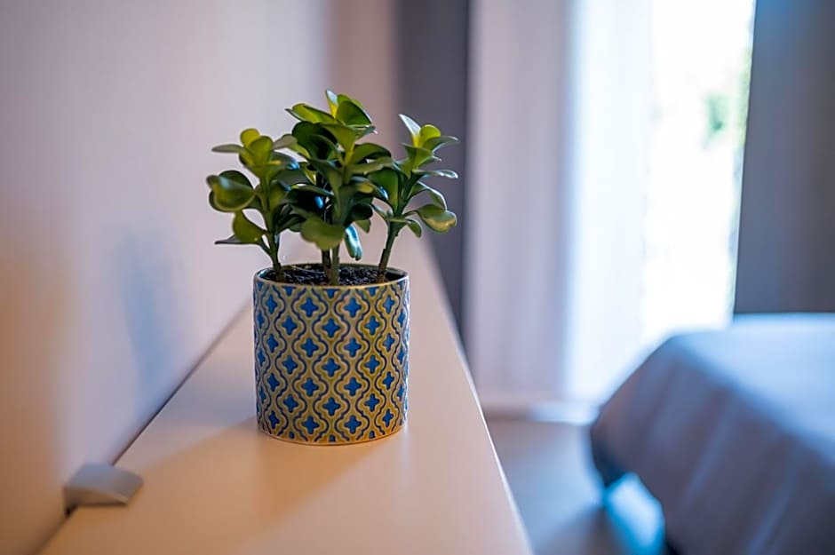 Grey House Guest House Luxury