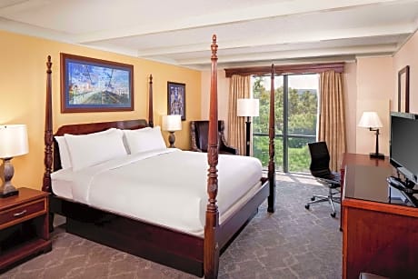 1 King Bed 2 Room Suite