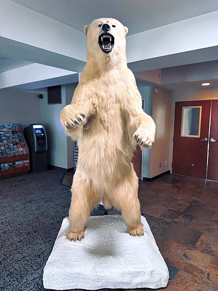 Wyndham Garden Anchorage Airport