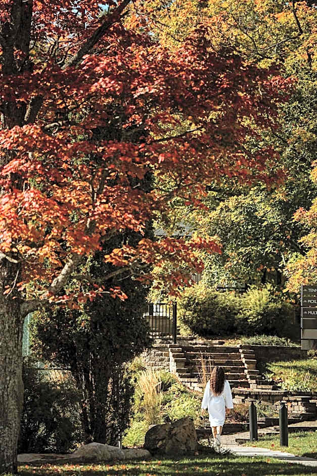 Mont Gabriel, Sainte-Adele, a Tribute Portfolio Resort