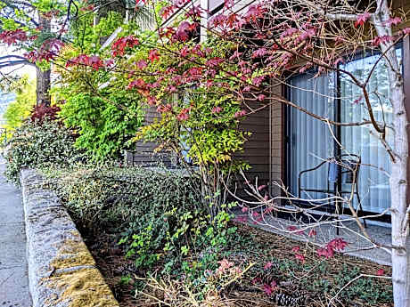 Deluxe Queen Room with Two Queen Beds and Patio - Pet Friendly