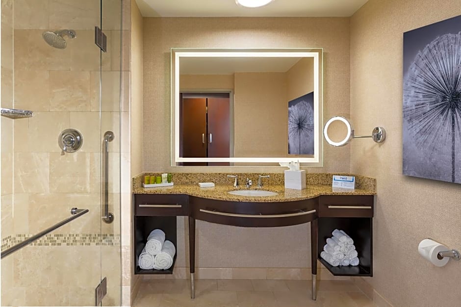 Hilton Americas - Houston