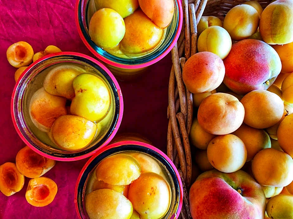 Mudgee Homestead Guesthouse