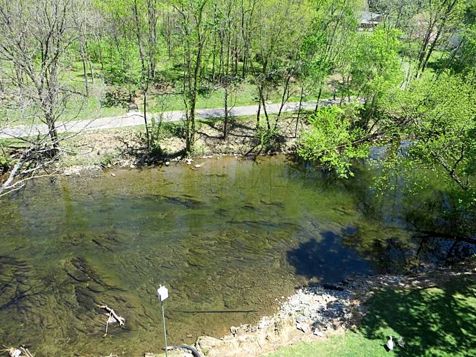 River Place Inn & Cabins