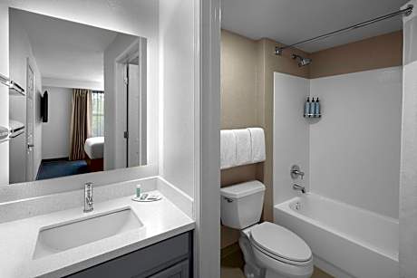 Suite, 1 Bedroom (Hearing Accessible) (1 Queen Bed and 1 Double Sofa Bed)