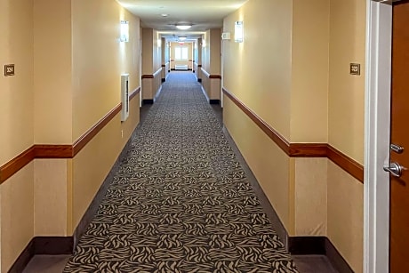 Comfort Inn & Suites Thatcher