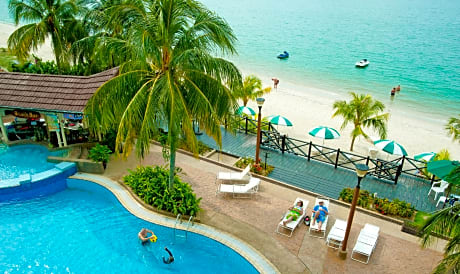 Flamingo By The Beach