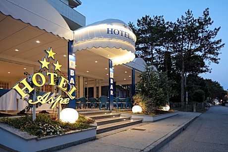 Hotel Aspe