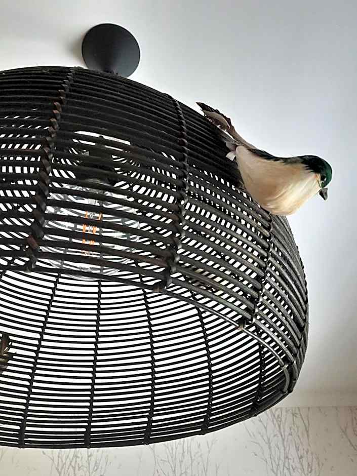 Smiling Places - Guest House in Labruge