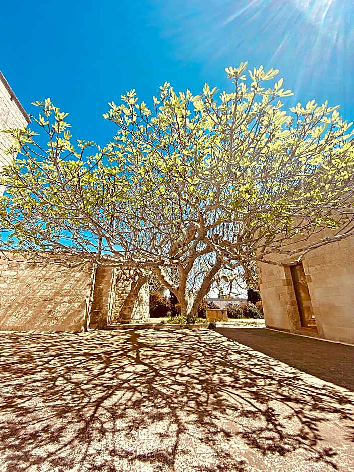 Masseria La Millenaria