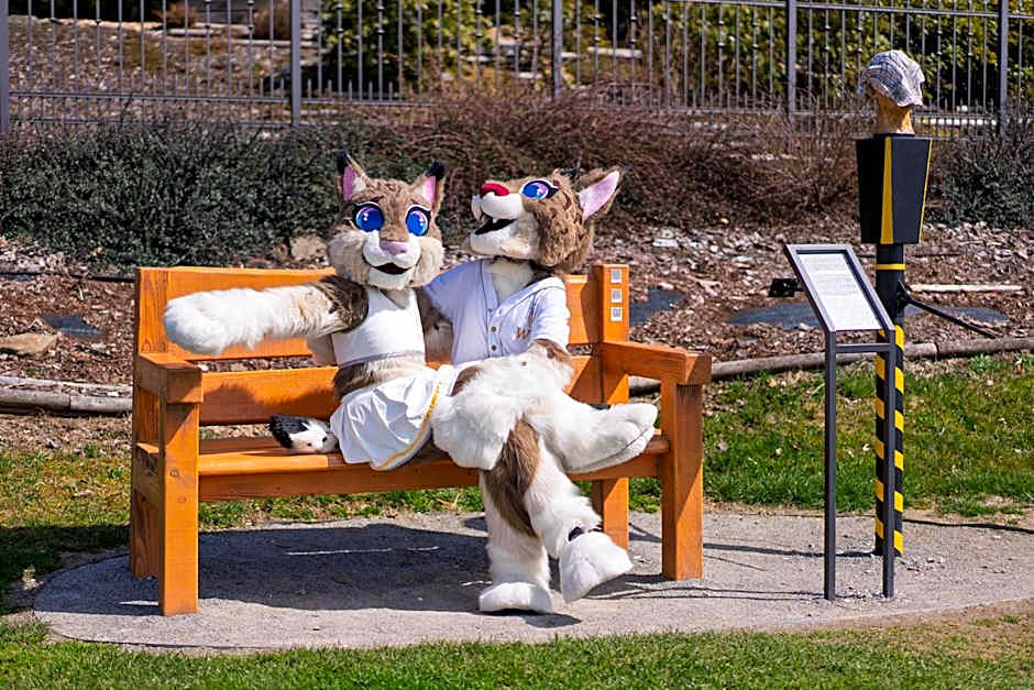 Wellness Hotel Frymburk