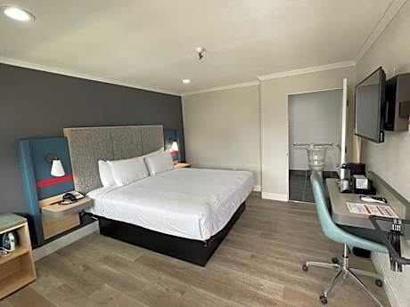 King Room with Roll-In Shower - Disability Access/Non-Smoking