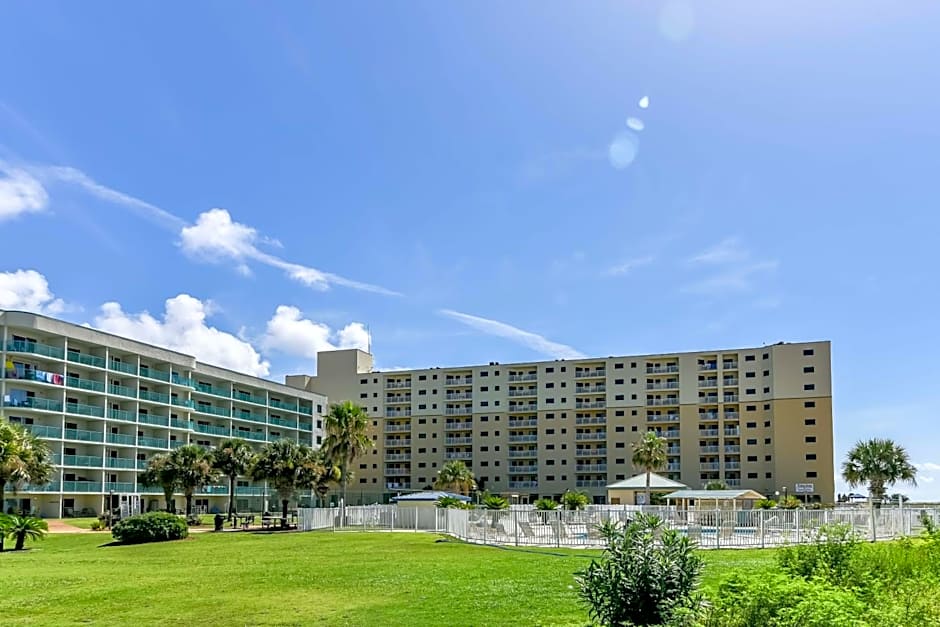 Plantation Dunes #5101