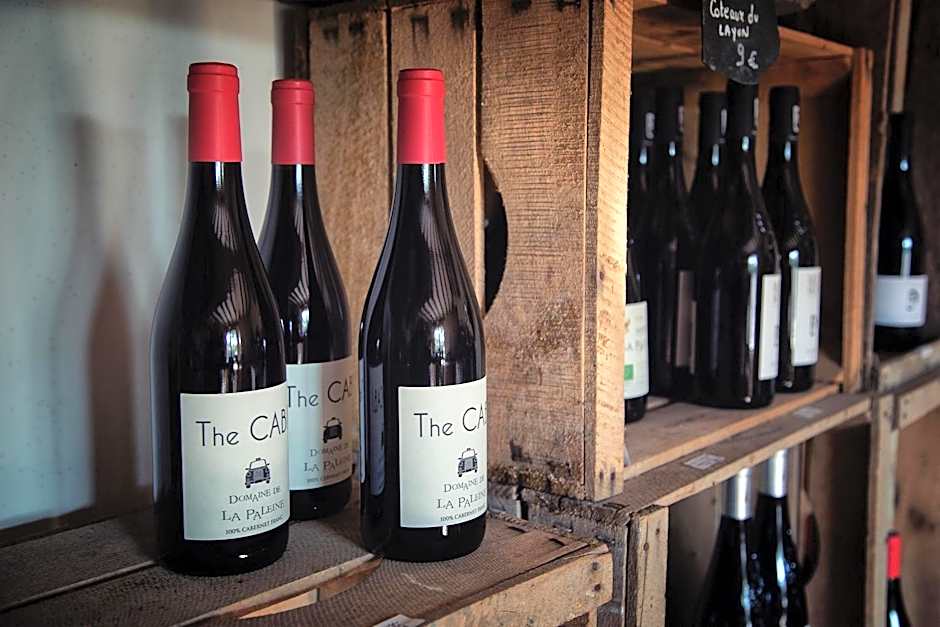 Hôtel & Spa Chai De La Paleine