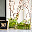 JOIVY Together Florence Urban Resort