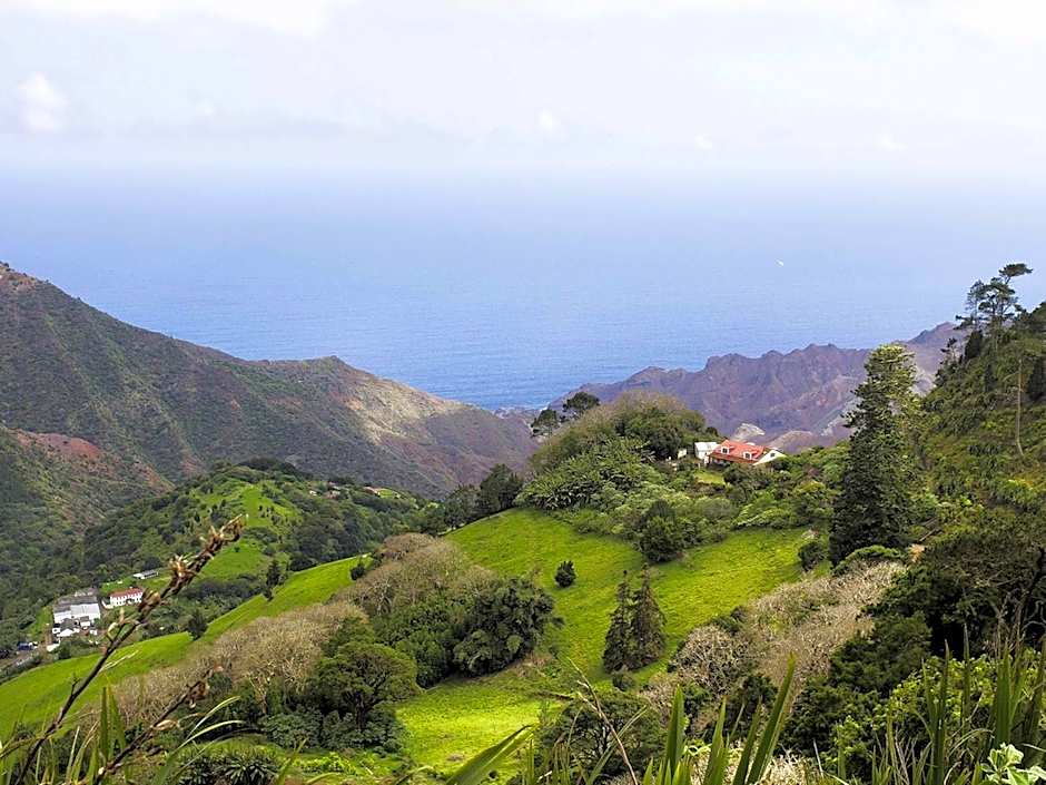 Mantis St Helena