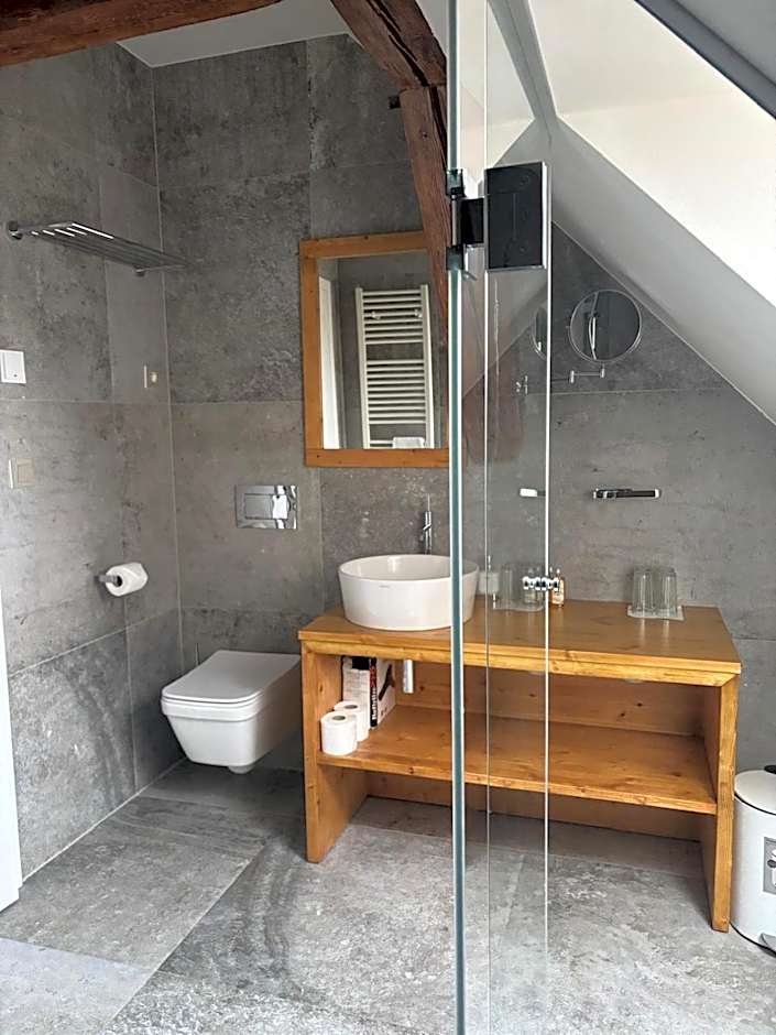 Hotel Zámek Svijany