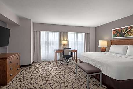 King Suite with Sofa Bed