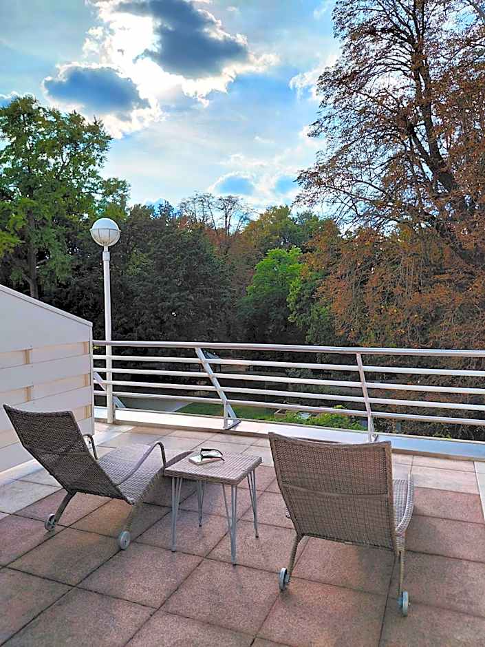 Vichy Spa Hotel Les Celestins