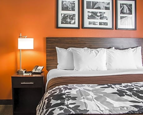 1 King Bed  Suite  No Smoking  Accessible Room