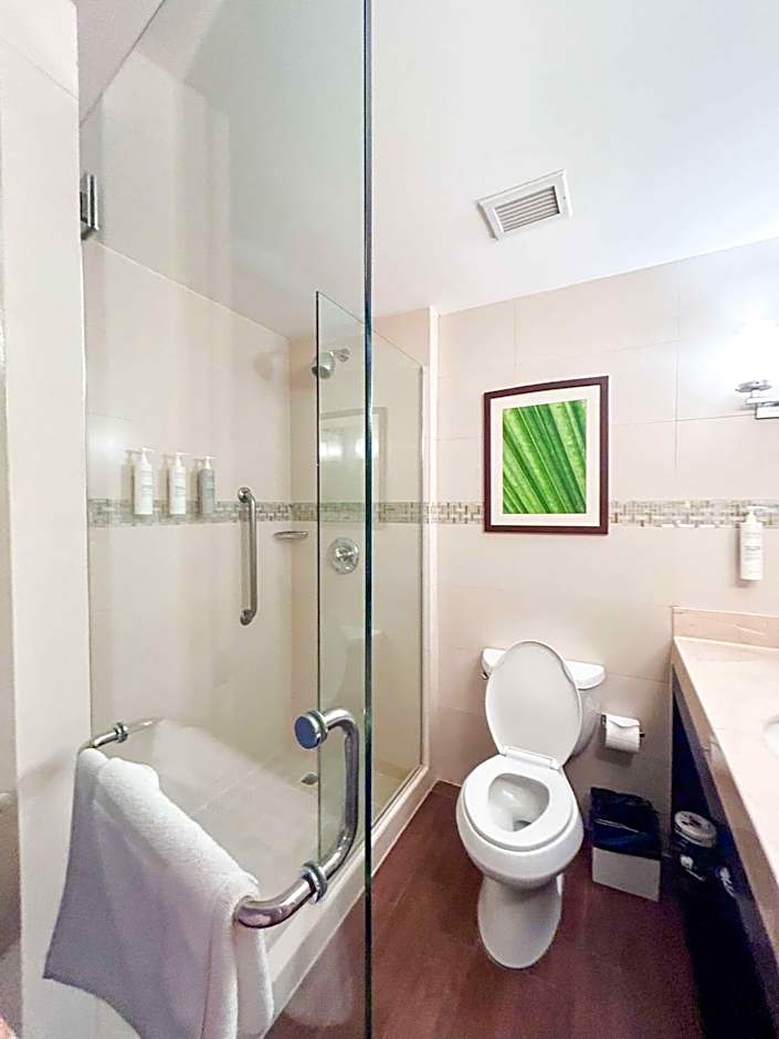 Hilton Garden Inn Panama City Downtown, Panama