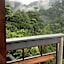 The Shorea