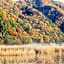 Kinosaki Onsen Oyado Seri