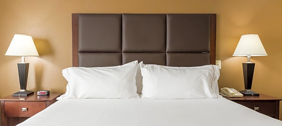 Holiday Inn Express Hotel & Suites Hinesville, an IHG Hotel