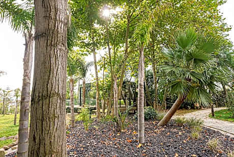 Villa with Garden View