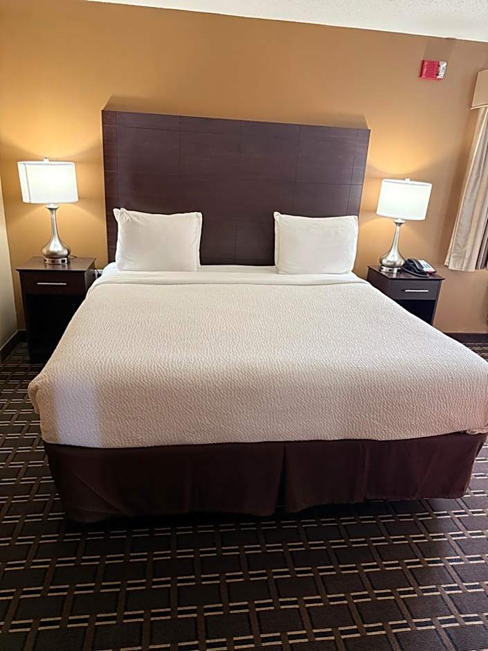 Photo 1 of 12 of 1 King Bed with Sofabed Suite, Whirlpool