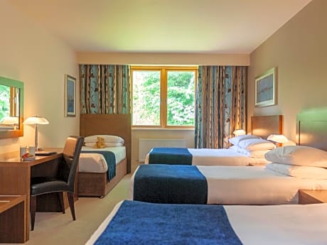 Family Room (2 Adults + 2 Children)