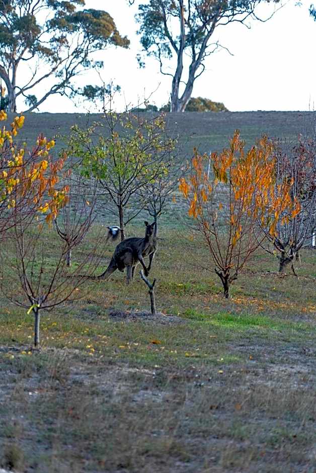 Farm Stay Picturesque views
