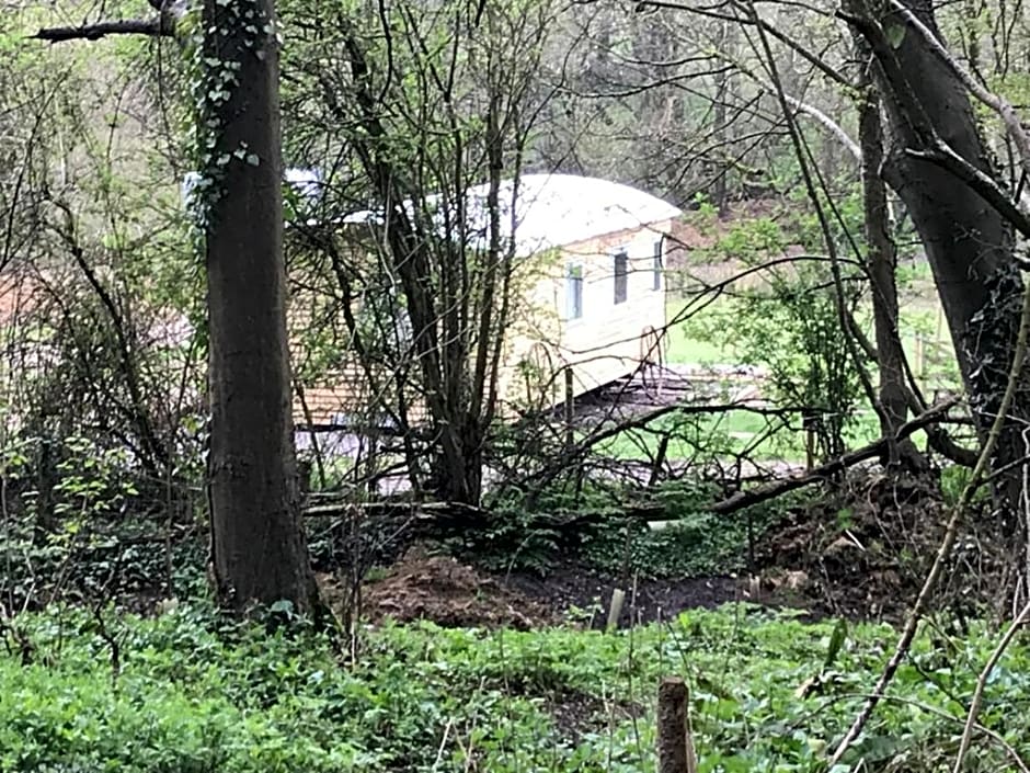 Shepherds Huts Ham Hill, 2 double beds, Bathroom, Lounge, Diner, Kitchen, dog friendly, Looking out to lake