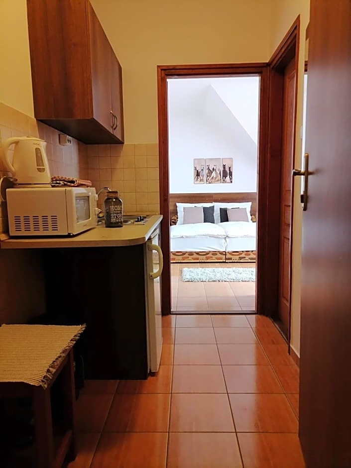 Aqua Oazis Apartman