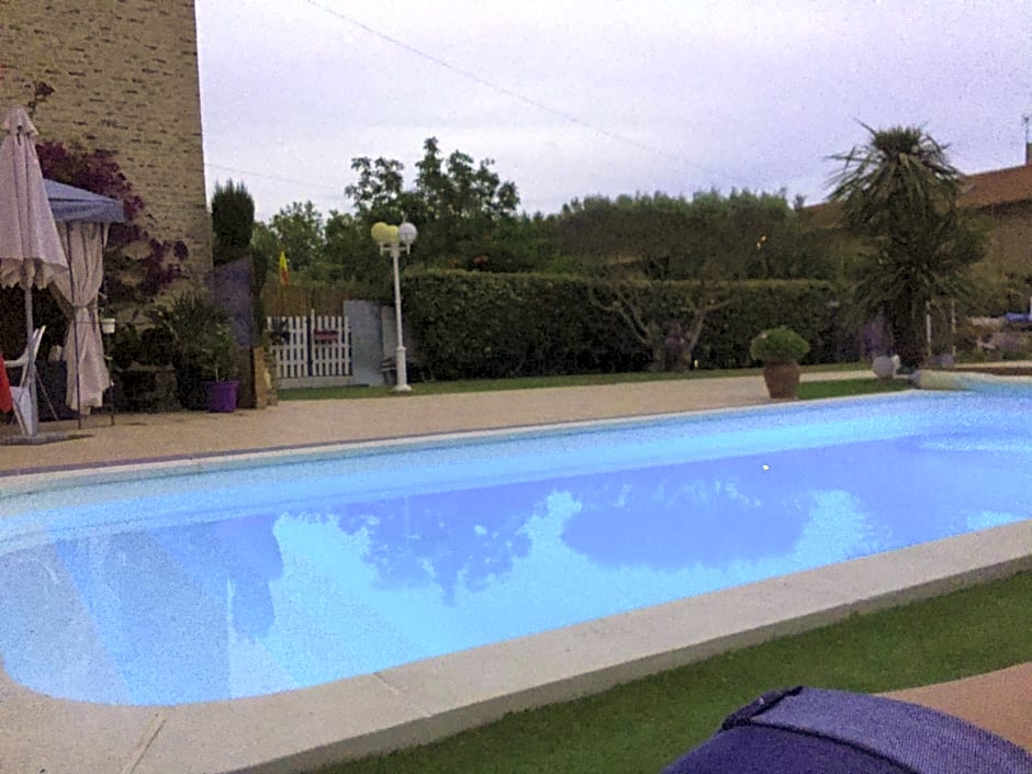 La Salamandre de Camargue