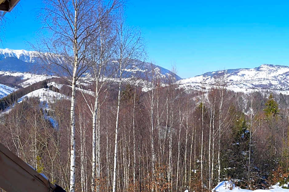 Cabana doi mesteceni