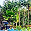 Sun House Rental