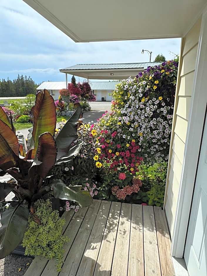 Sunset Motel of St. Ignace