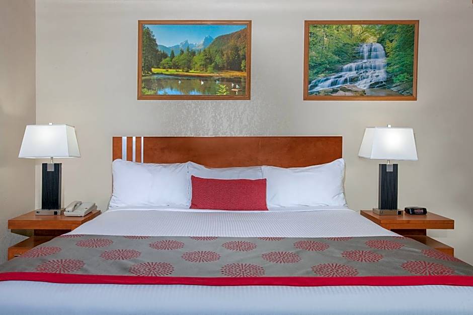 Econo Lodge Inn & Suites