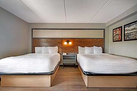 Queen Room with Roll-In Shower - Mobility Accessible/Non-Smoking