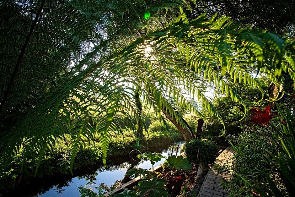 Waterfield House B&B