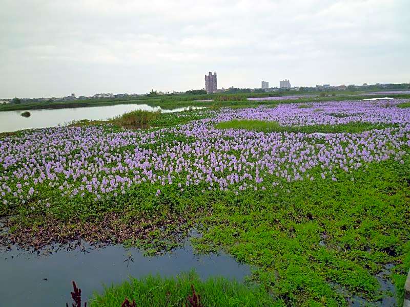 Relax House Bed and Breakfast