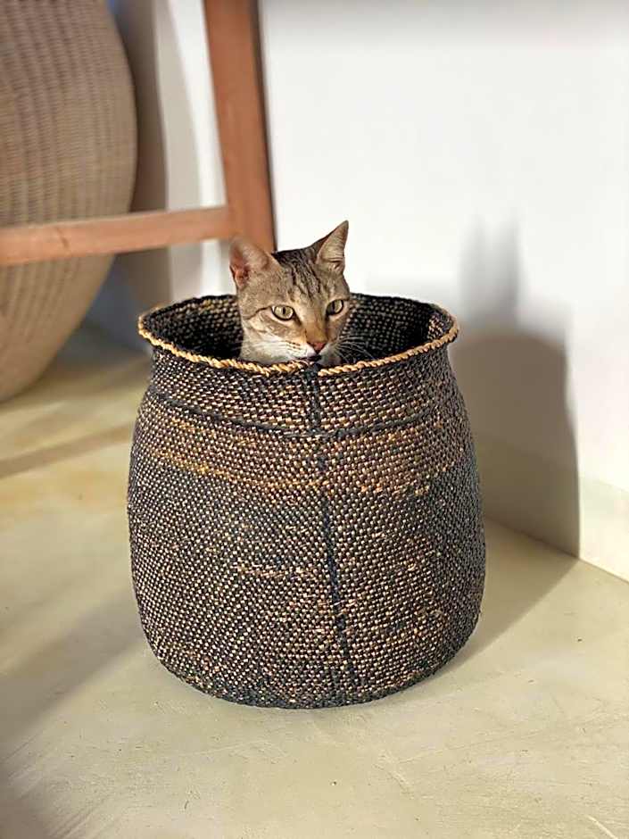 La Villa de Victor Kigomani