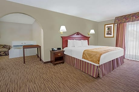 1 King Bed Deluxe Studio Suite Non-Smoking