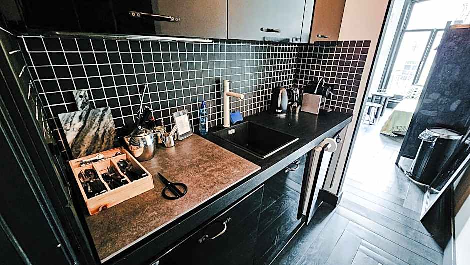 JoyJoyJoy the Black Beauty ecolicious studio in a canal house with French balcony with view on the canals